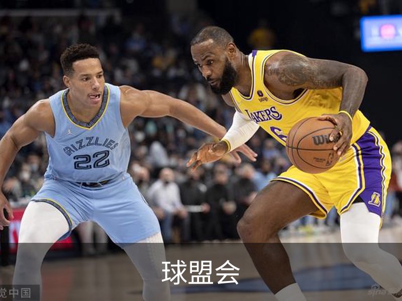 球盟会简介